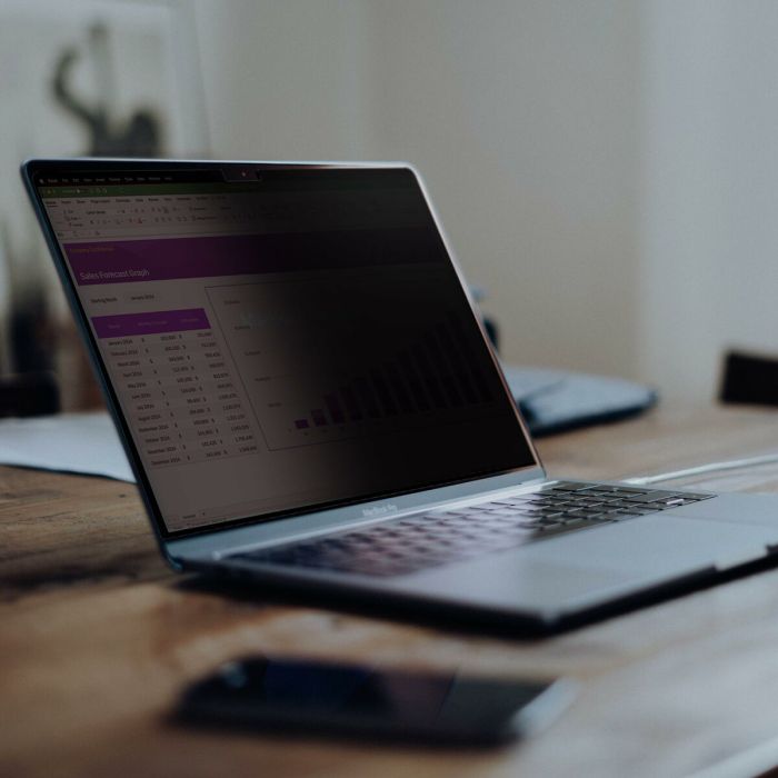 Support pour Ordinateur Portable Startech 141T6-PRIVACY-SCREEN Plastique 2