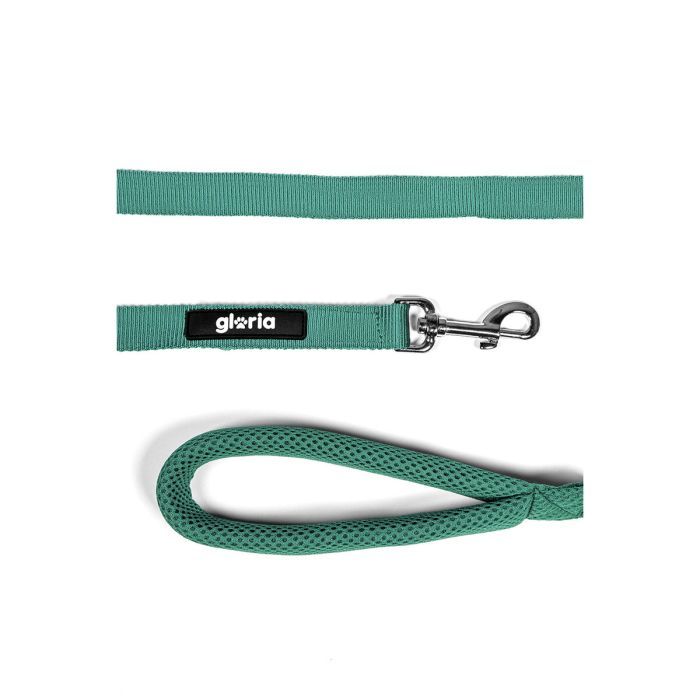 Laisse pour Chien Gloria Turquoise S 5
