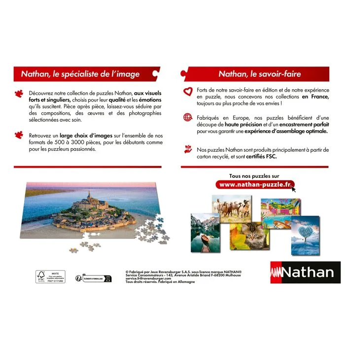 Nathan - Puzzle 1000 pièces Lionceau du désert, Collection Vie Sauvage - À partir de 14 ans, Encastrement Parfait - Réf. 12001884 Nathan - Puzzle 1000 pièces Lionceau du désert, Collection Vie Sauvage - À partir de 14 ans, Encastrement Parfait - Réf. 12001884