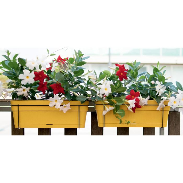 Stefanplast Balconnière ETHICA - 50x18x17 cm - 9 L - Couleur Moutarde - Pour plantes de balcon