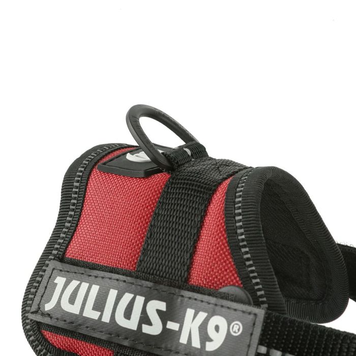 Harnais pour Chien Julius K9 Power Rouge 1 Baby 1 (XS) 2