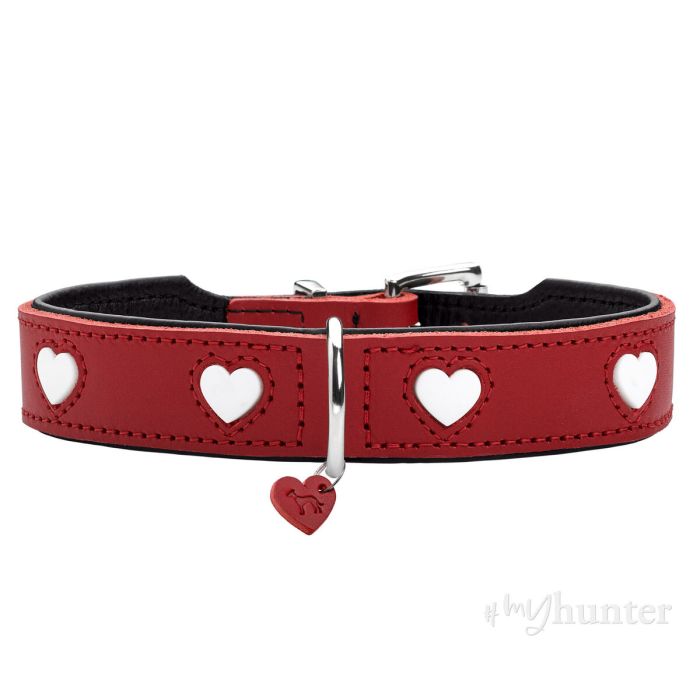 Collier pour Chien Hunter Love S/M 35-43 cm Rouge 3