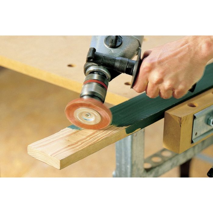 disque abrasif Wolfcraft 1502000 2