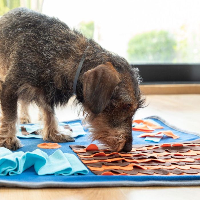 Tapis Olfactif pour Animaux de Compagnie Foopark InnovaGoods