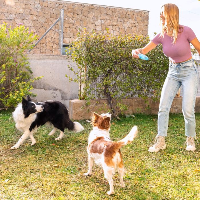 Jouet à Mordre 2 en 1 Congelable pour Animaux de Compagnie Glubiz InnovaGoods 11