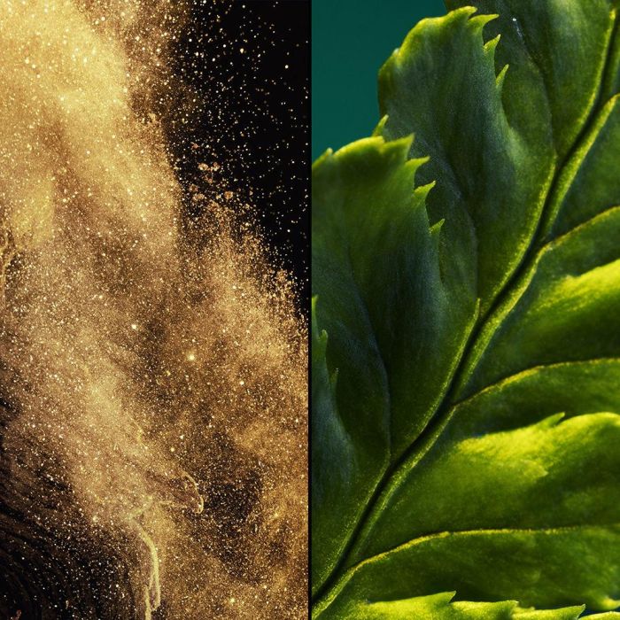 Guerlain Vol De Nuit Eau De Toilette Vaporisateur 75 mL 1 Guerlain Vol De Nuit Eau De Toilette Vaporisateur 75 mL 1