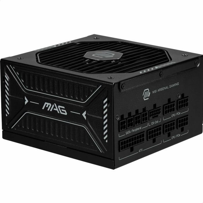 Bloc d’Alimentation MSI 306-7ZP1B21-CE0 1000 W 80 Plus Gold ATX 7