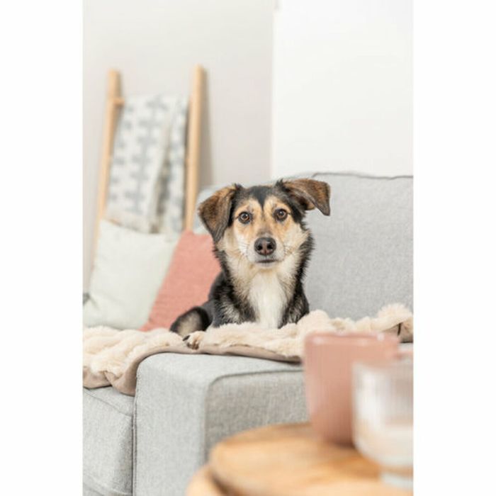 Couverture pour animaux de compagnie Trixie Elli Sable Polyester 70 × 50 cm 1 Couverture pour animaux de compagnie Trixie Elli Sable Polyester 70 × 50 cm 1