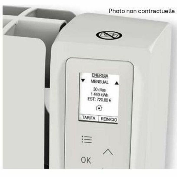 Radiateur Ferroli 750 W 1