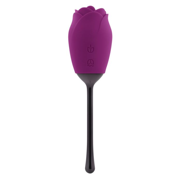 Stimulateur clitoridien Playboy Playboy Violet 15 Stimulateur clitoridien Playboy Playboy Violet 15