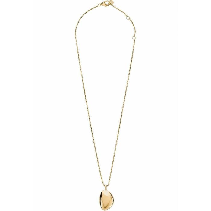 Pendentif Femme Skagen SKJ1752710 Doré 2