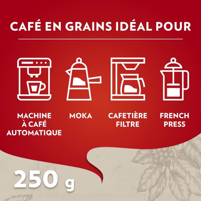 Café en grains Lavazza 2013 2