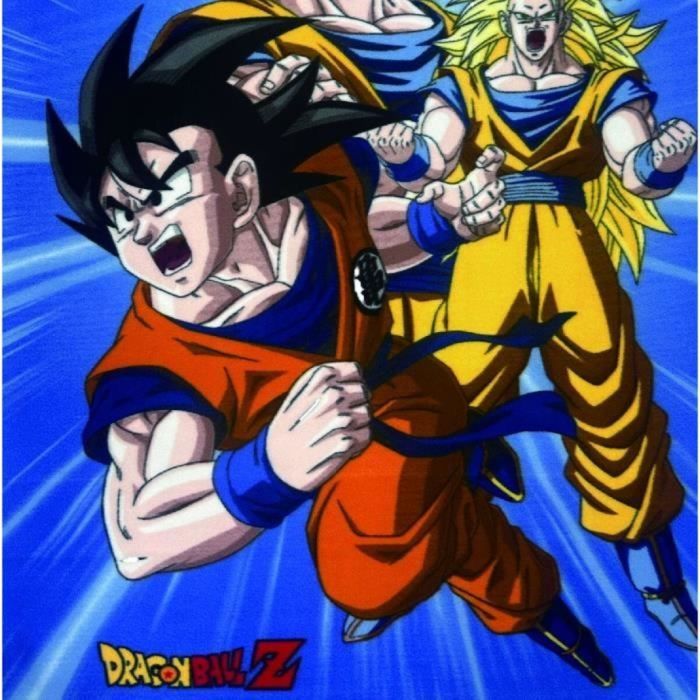 Couverture Dragon Ball Multicouleur animaux 4