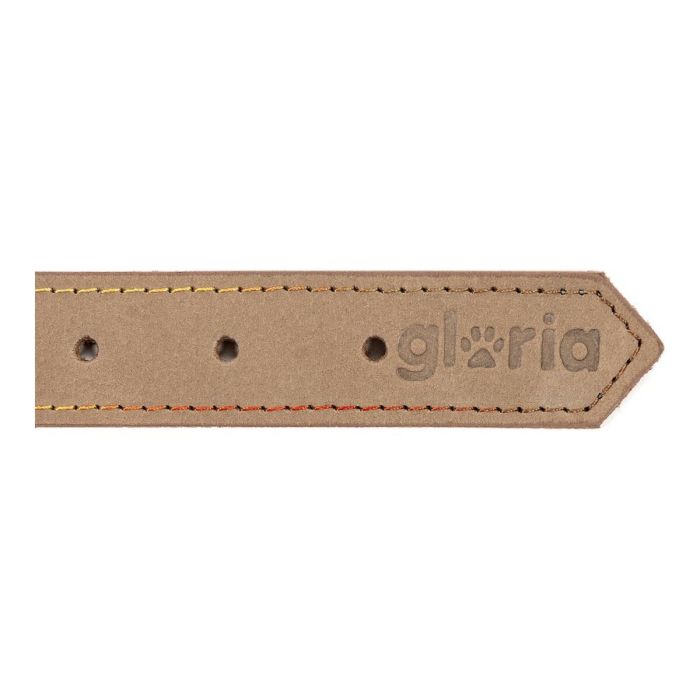 Collier pour Chien Gloria Oasis Blanc (1,5 x 40 cm) 1