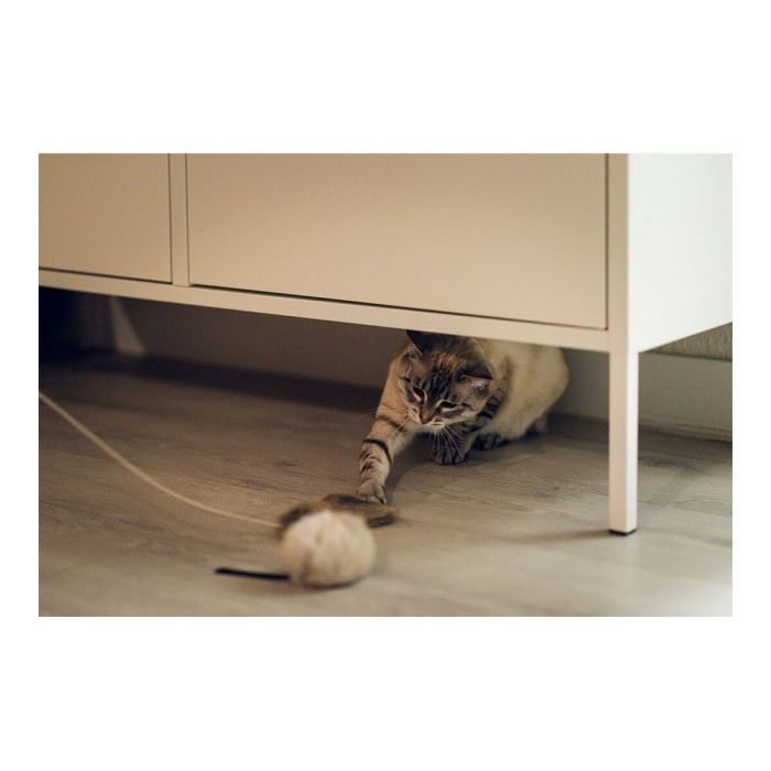 Jouet pour chats Gloria Renzo Souris 1