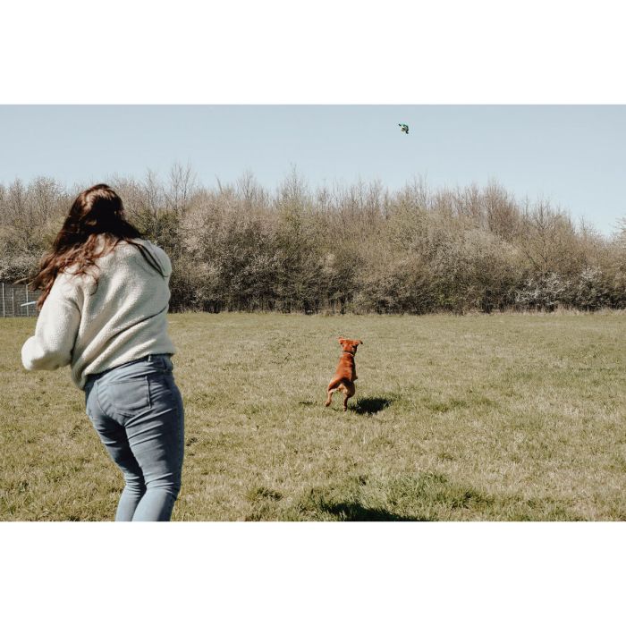 Jouet pour chien Hunter 2