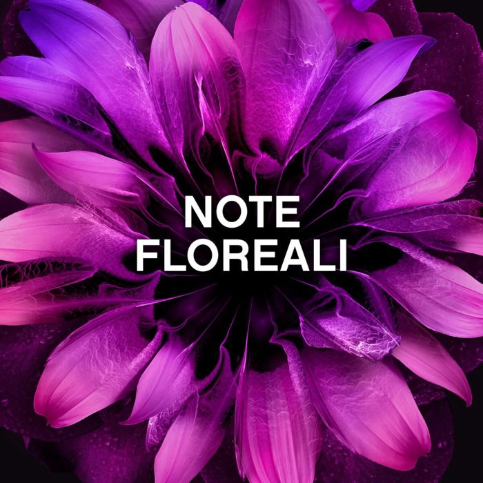 Adoucissant Concentré Lenor UNSTOPPABLES 4