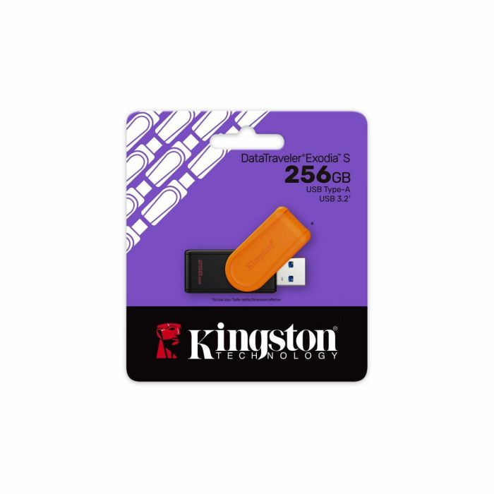 Carte Mémoire Micro SD avec Adaptateur Kingston DTXS/256GB Noir 256 GB 28