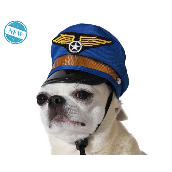 déguisement pour chien Bleu Chapeau 1
