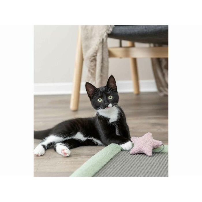 Grattoir pour Chats Trixie Gris Menthe 47 x 47 cm 6 Grattoir pour Chats Trixie Gris Menthe 47 x 47 cm 6