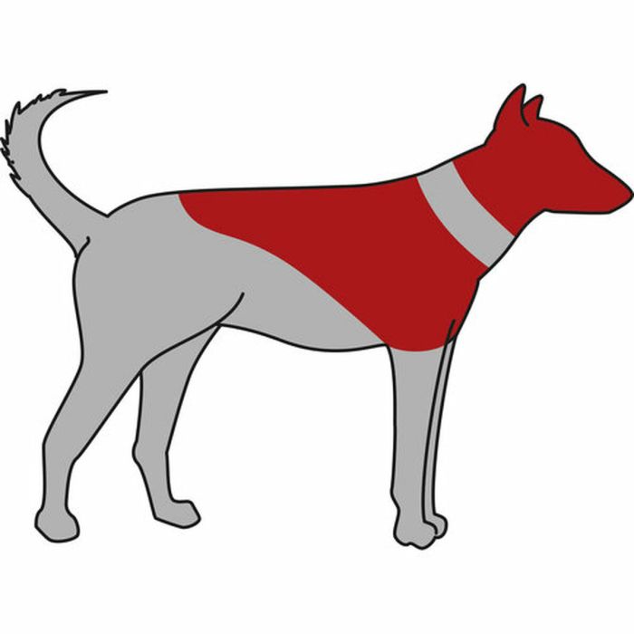 Collier protecteur pour chien Trixie Bleu Gonflable (20-24 cm) 4