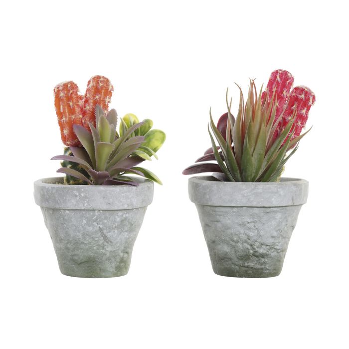 Plante décorative DKD Home Decor Rouge Gris Orange EVA PE (16 x 12,5 x 19,5 cm) (2 Unités) 0 Plante décorative DKD Home Decor Rouge Gris Orange EVA PE (16 x 12,5 x 19,5 cm) (2 Unités) 0