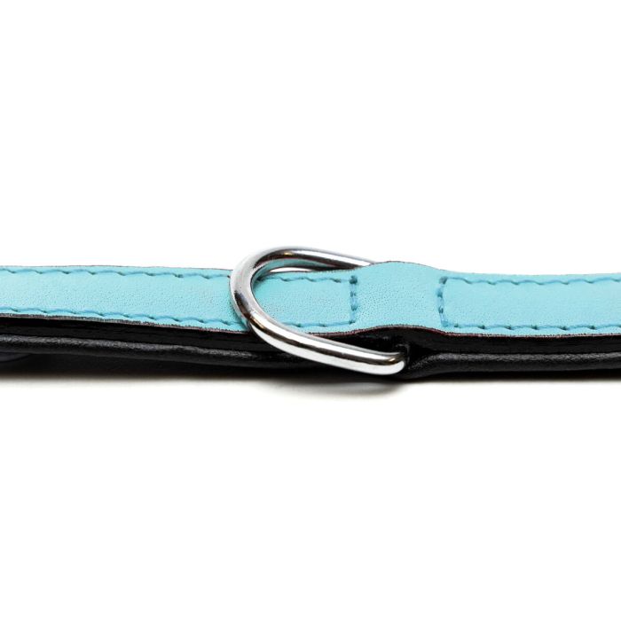Collier pour Chien Gloria 30 cm Rembourré Cuir Bleu 6 Collier pour Chien Gloria 30 cm Rembourré Cuir Bleu 6