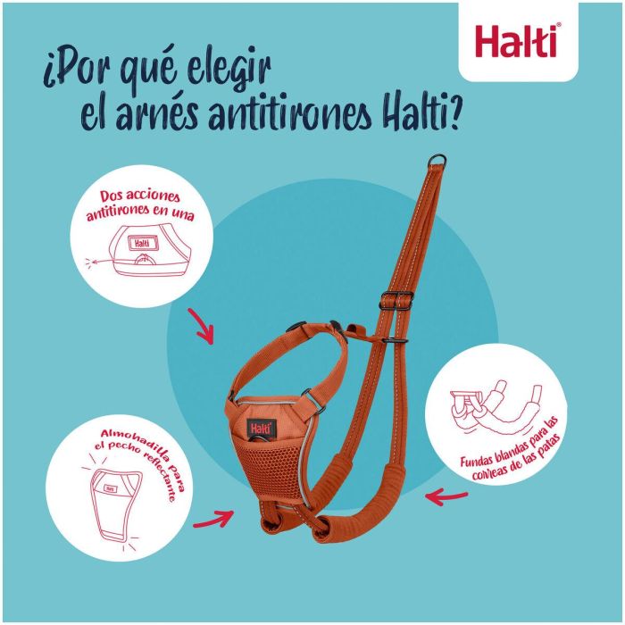 Harnais pour Chien Company of Animals Orange 20 1 Harnais pour Chien Company of Animals Orange 20 1