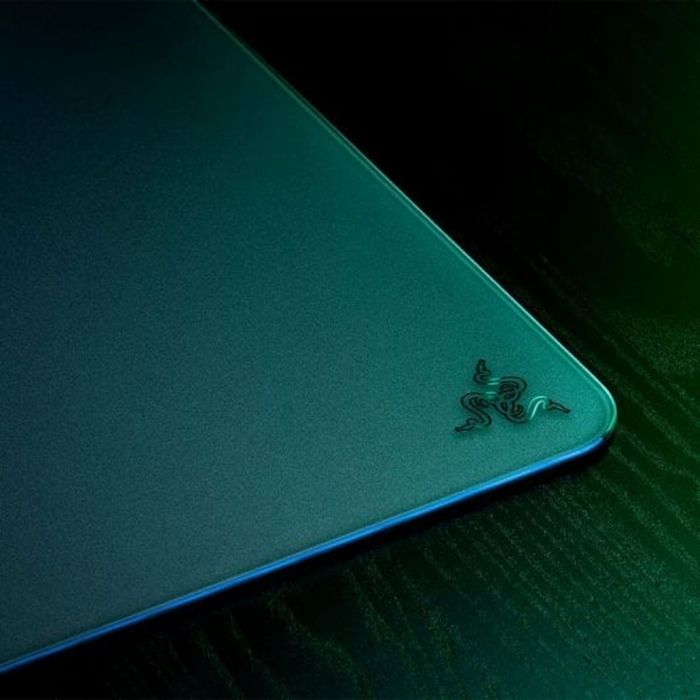 Tapis de Souris Razer RZ02-04890100-R3M1 Noir 1