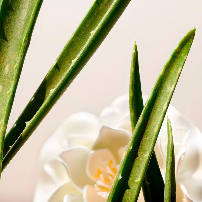 Rituals Lotion Tonique Clarifiante Pour Le Visage Le Rituel De Namaste 250 mL 1