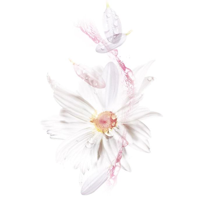 Garnier Skinactive Hydrabomb Mascarilla Facial Hidratante Calmante Pieles Secas-Sensibles 2 Garnier Skinactive Hydrabomb Mascarilla Facial Hidratante Calmante Pieles Secas-Sensibles 2