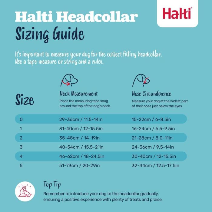 Muselière Company of Animals BURNT Orange 4 7