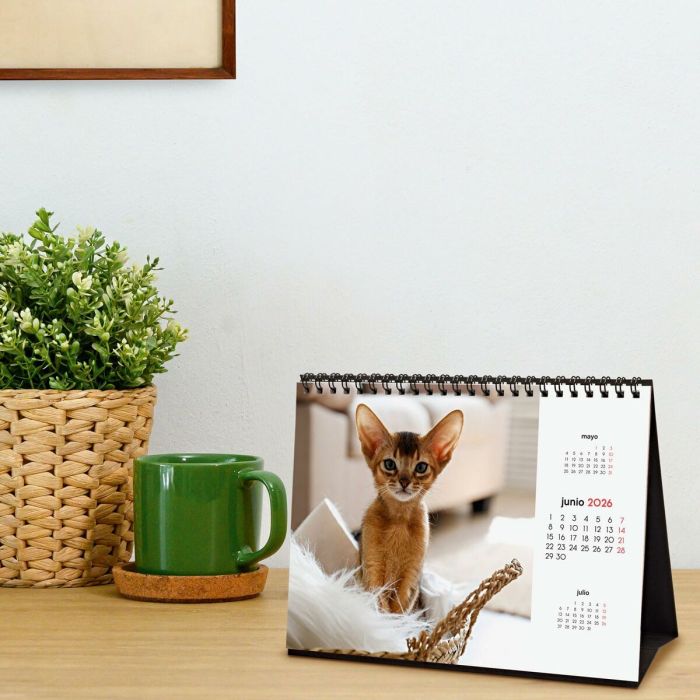 Calendrier de bureau Finocam Multicouleur Papier 21 x 15 cm 1