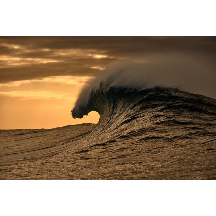 Monture de Lunettes Femme O'Neill MOD. ONB-4030 53172 8 Monture de Lunettes Femme O'Neill MOD. ONB-4030 53172 8