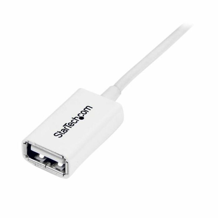 Câble USB Startech USBEXTPAA1MW Blanc 2