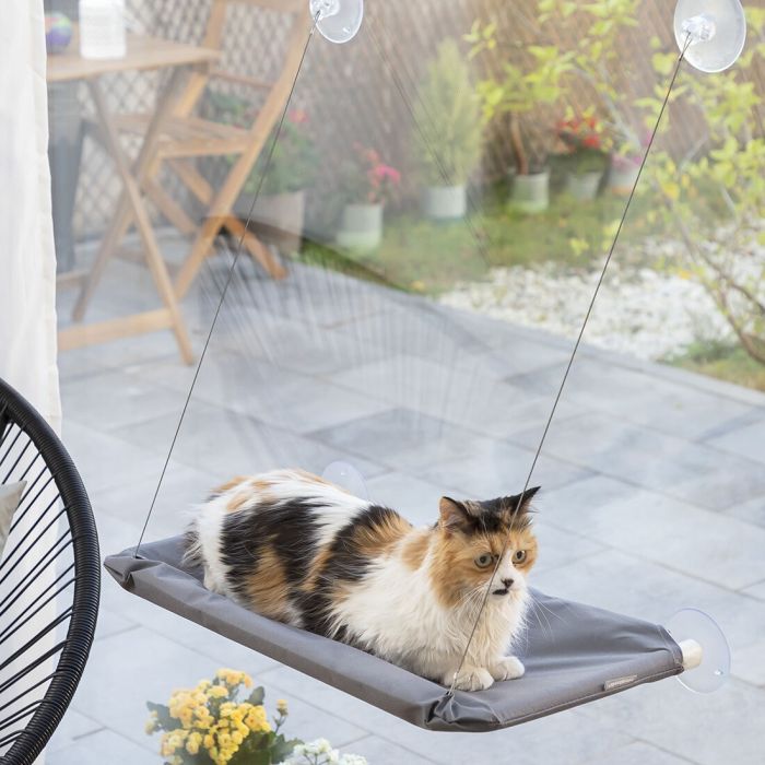 Hamac Suspendu pour Chats Catlax InnovaGoods