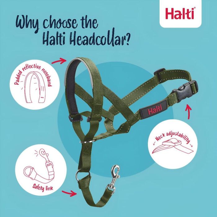 Muselière Company of Animals FOREST Vert 2 4 Muselière Company of Animals FOREST Vert 2 4