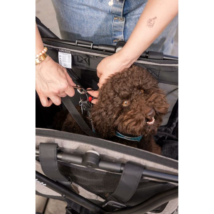 Panier à Courses Carlett CUBE P RUBY Rouge 3 Panier à Courses Carlett CUBE P RUBY Rouge 3