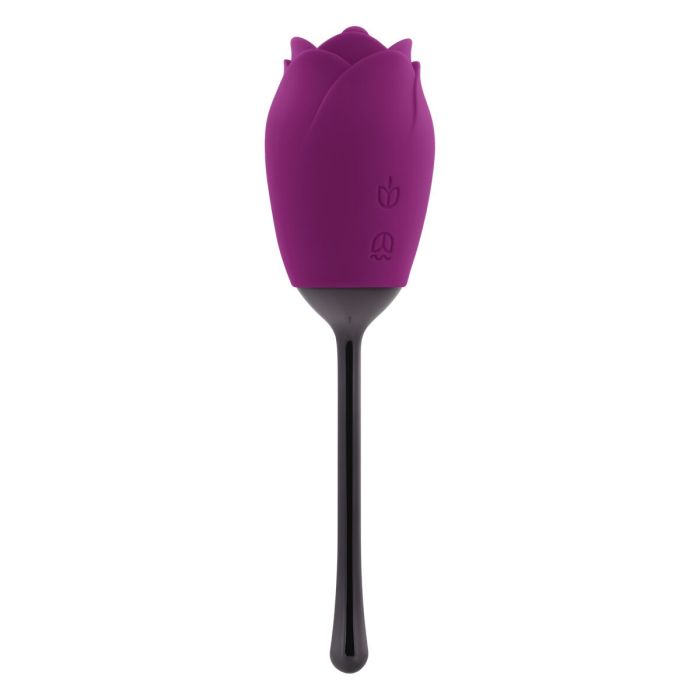 Stimulateur clitoridien Playboy Playboy Violet 14 Stimulateur clitoridien Playboy Playboy Violet 14