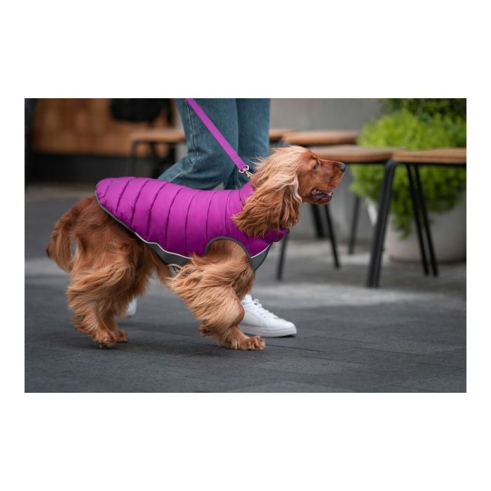 Manteau pour Chien Red Dingo Puffer Rose/Violet 30 cm 2 Manteau pour Chien Red Dingo Puffer Rose/Violet 30 cm 2
