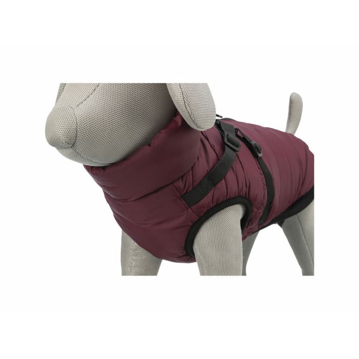 Manteau pour Chien Trixie Pirou Bordeaux S 4