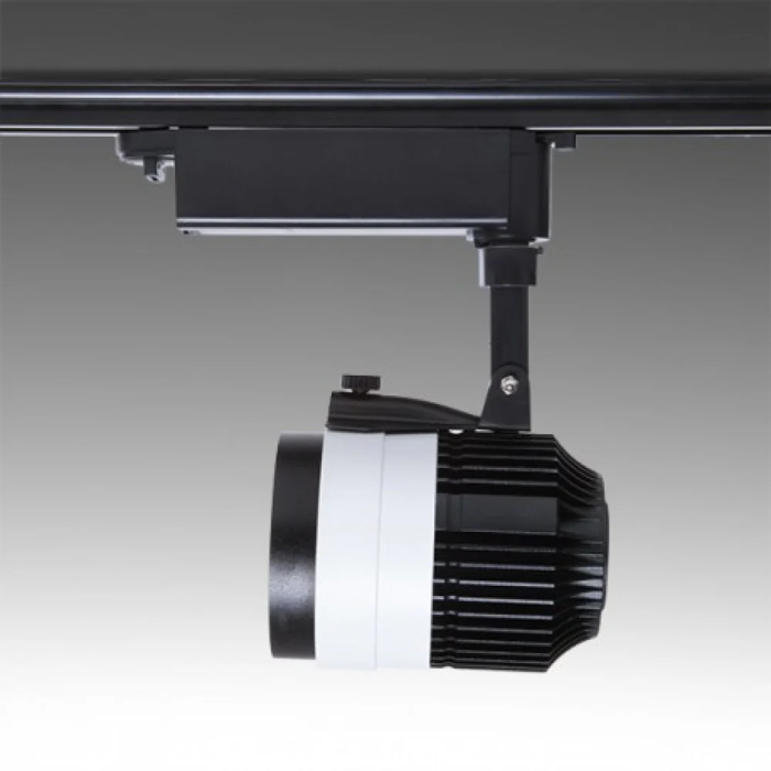 Leilani Projecteur LED 20W 1685Lm Blanc Chaud 2700K Monophasé Rail 40.000H PL-218041-WW-W 1