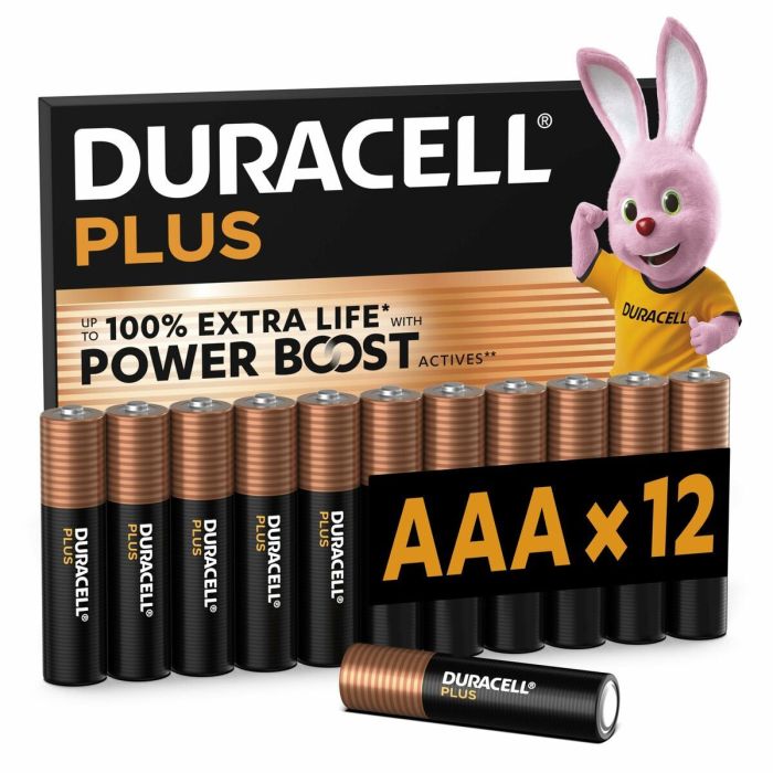 Piles Rechargeables DURACELL DPBLR3B12 1,5 V AAA 7