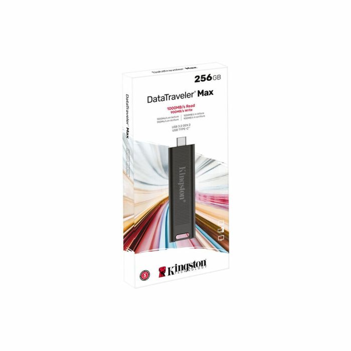 Clé USB Kingston DTMAX/256GB Noir 256 GB (1 Unité) 1