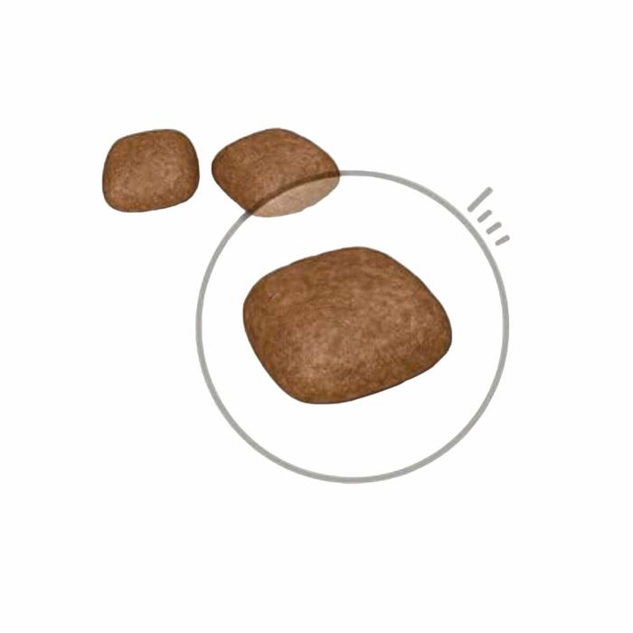 Aliments pour chat Royal Canin Urinary Care Adulte Poulet Oiseaux 2 Kg 1