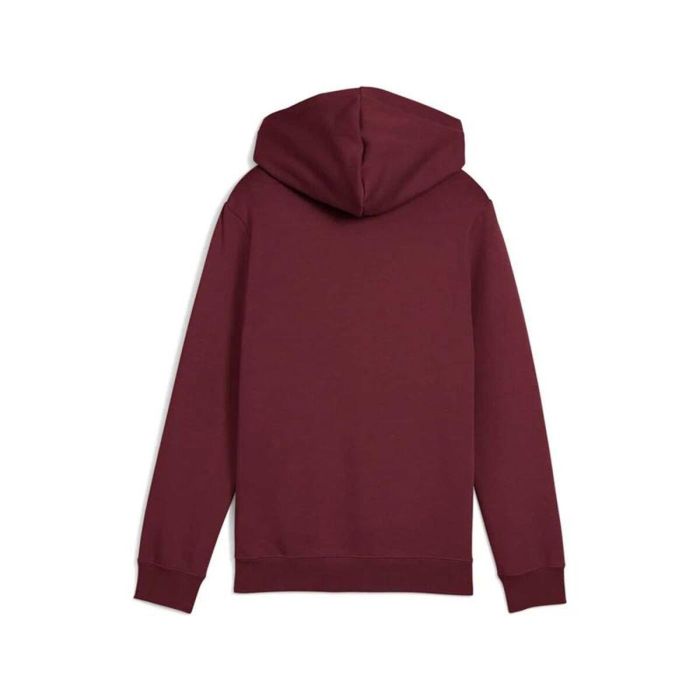 Sweat-shirt à capuche fille Puma Essentials 2 Color No. 1 Bordeaux M 1
