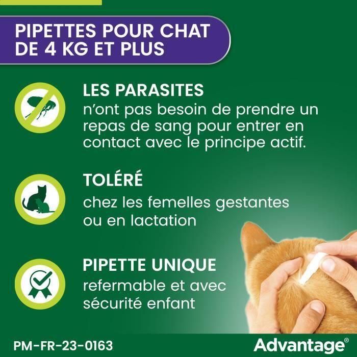 ADVANTAGE Solution Antipuce Chat Lapin +4kg 4 pipettes 2