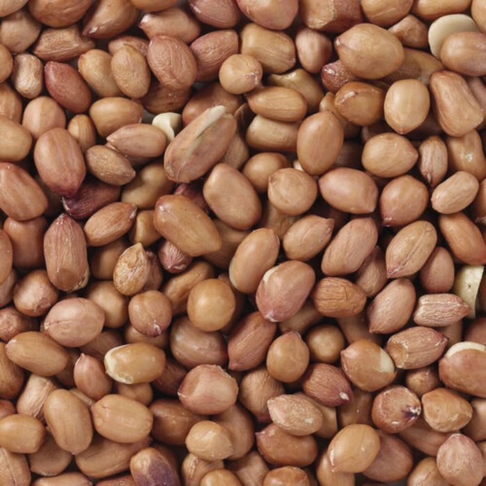 Nourriture pour oiseaux Deli Nature Premium 3 Kg 1