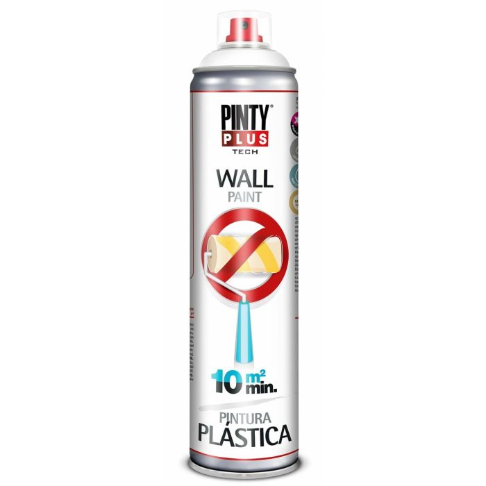 Peinture Pintyplus 1
