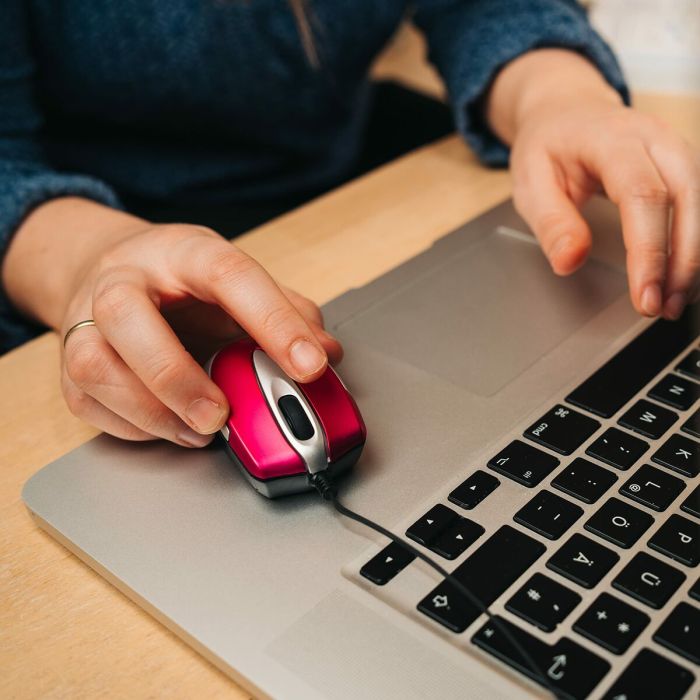 Souris Optique Verbatim 49021 Rose 1